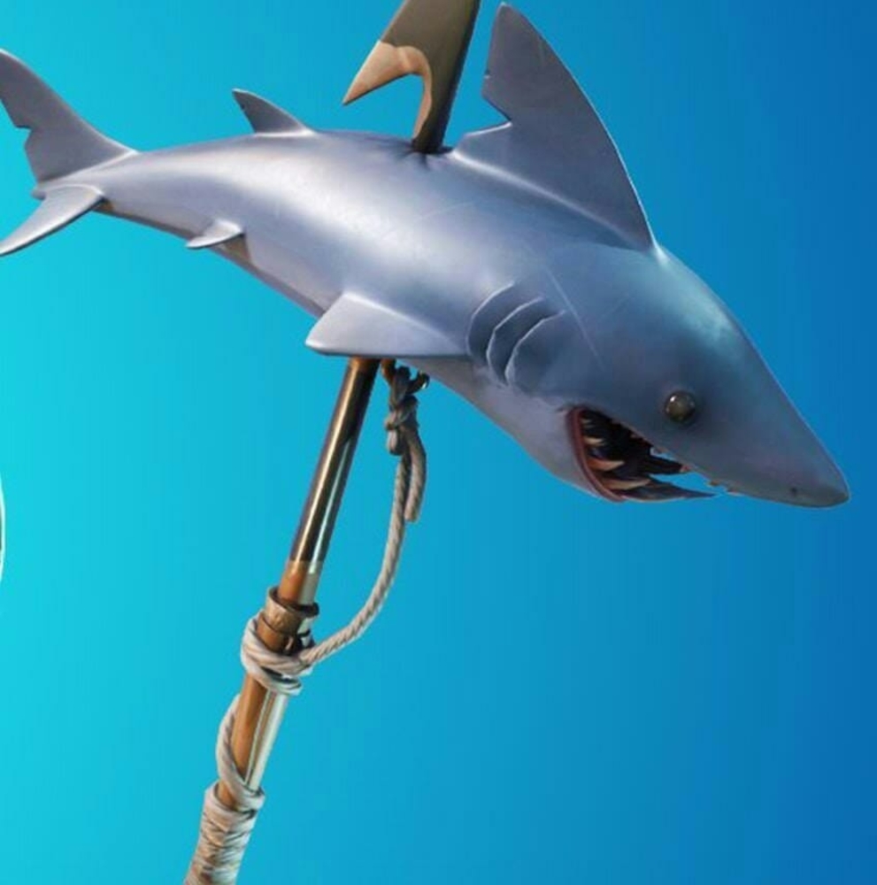 Meet your Posher, Joshua